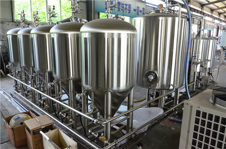 100L beer brewing home microbrewery